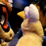 Photo by August (@Modrathewolf)