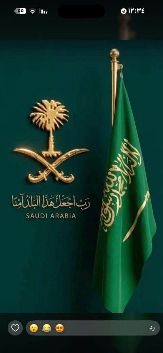 ahm70436's tweet photo. #اليوم_الوطني_السعودي_٩٦ https://t.co/Oc9eZkqQuh