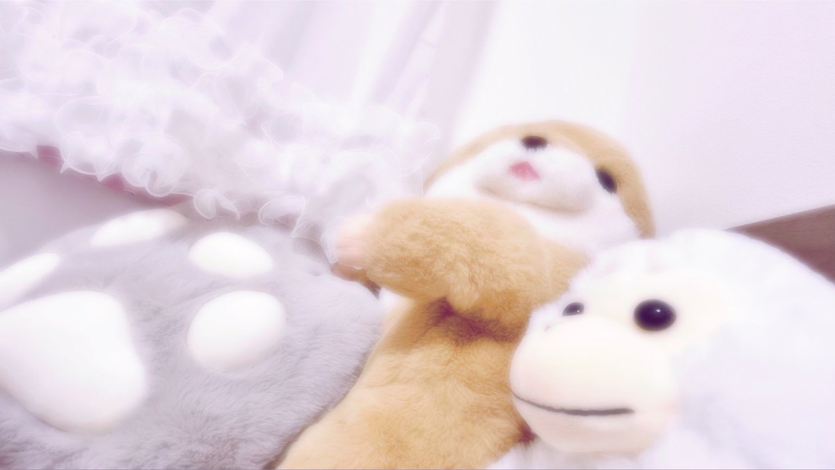 SubMelo_0's tweet photo. おはよ https://t.co/YpdSmlQvst