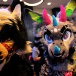 Photo by August (@Modrathewolf)