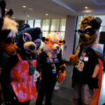 Photo by August (@Modrathewolf)