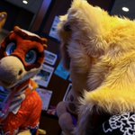 Photo by August (@Modrathewolf)