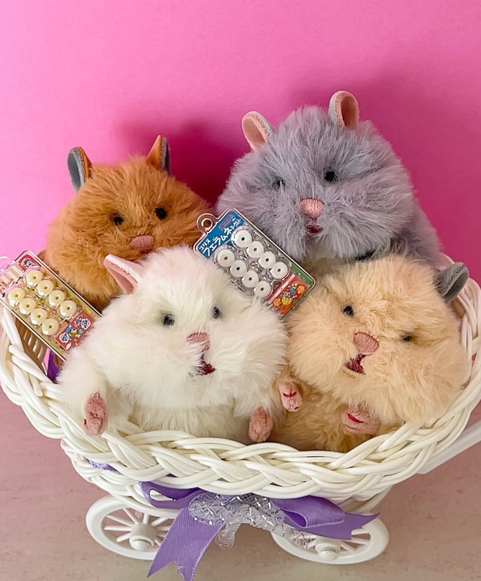 mashatomiki0206's tweet photo. フエラムネ買ったん♡
#はむにぎり
#はむにぎりのいる暮らし
#ぬい撮り
#ぬい活 https://t.co/1do3Ji2FOC