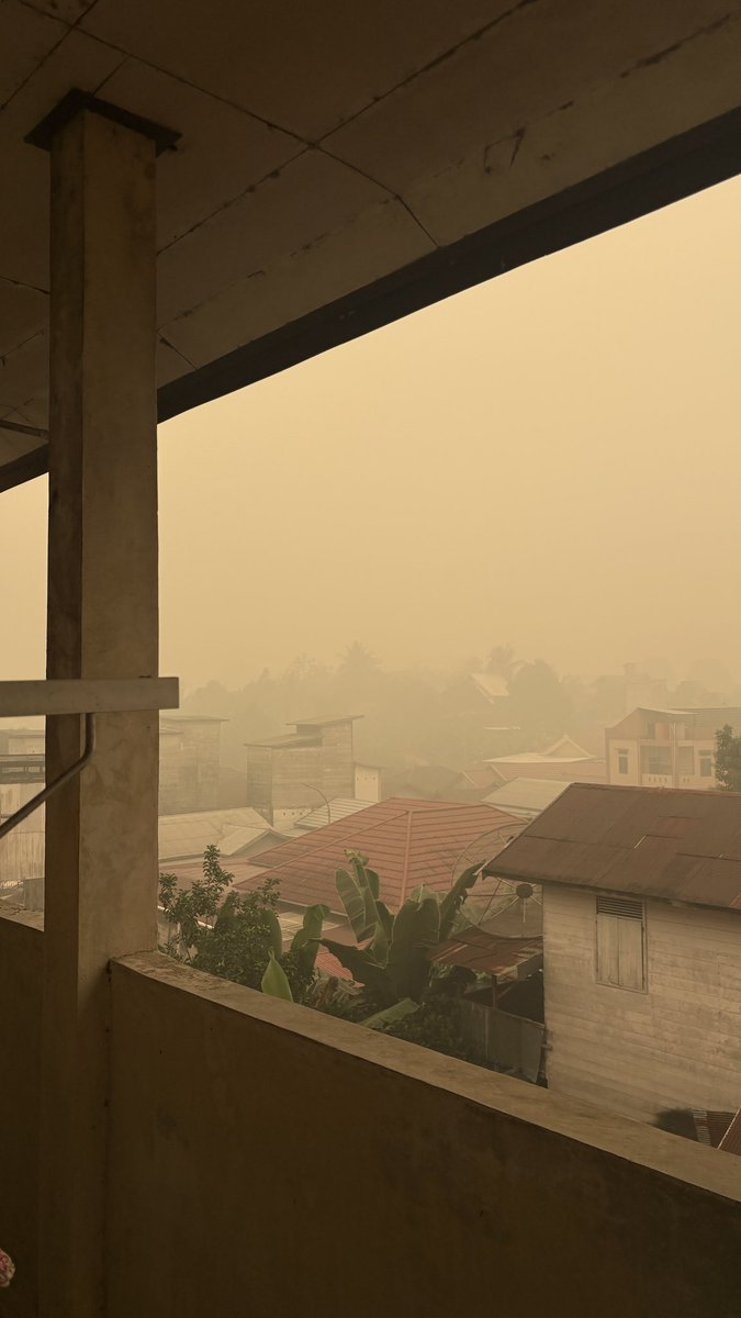 JUNG9795_'s tweet photo. sorry membawa bad news… makin pekat aja ini kabut asapnya udh kya kota apaan tau 😓💔

kita semua yg ada di kalimantan nih isinya berubah jadi mutan semua dah jujur 

(ini efek kamera masih keliatan terang dikit, aslinya warnanya lebih oren kya dunia fantasi☺️) https://t.co/uxtUOR09DF