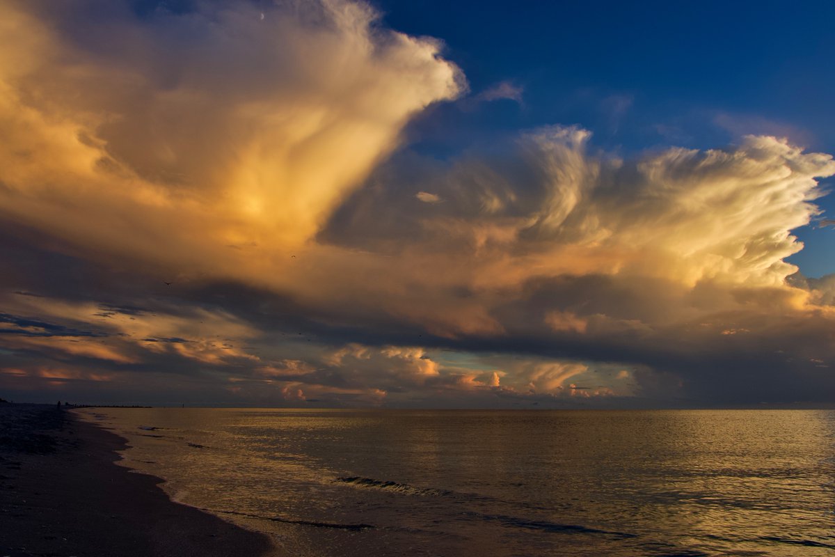DeepGreens2's tweet photo. Not too shabby tonight, Michelangelo... 🎨 #BeachLife #Photography #Sunset #Florida https://t.co/GgR0XflnUS