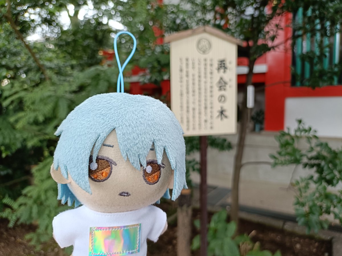 miisuke0210's tweet photo. https://t.co/MkPc4wKDti