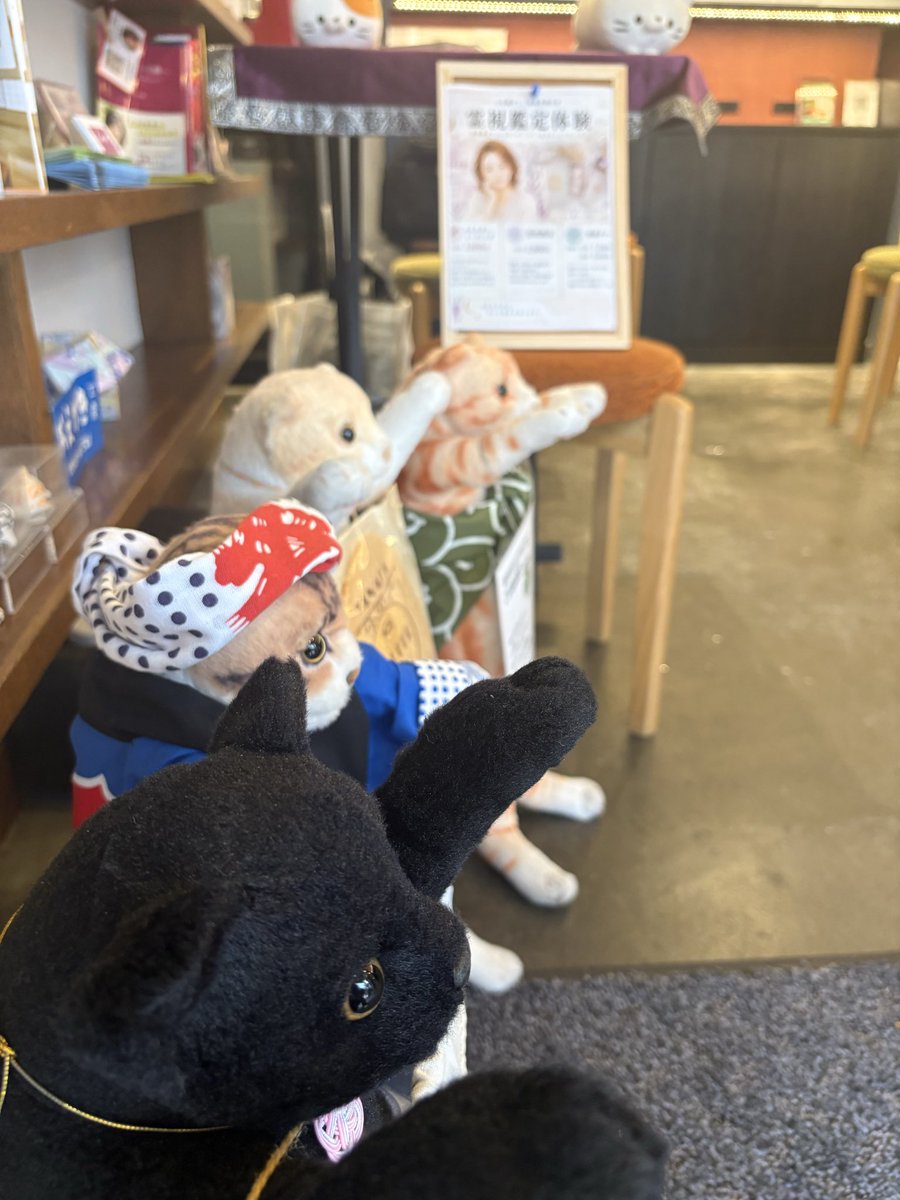 nagaonodoka's tweet photo. ふらっと立ち寄って、
ちょっと心を軽くしていきませんか？✨

谷中銀座の中にある
「谷中キャリアカフェ」で、
あなたの今のモヤモヤや、
これからのことを気軽にお話しください。

「ちょっと聞いてみたい」
そのくらいの気持ちで大丈夫☺️

日暮里駅から徒歩4〜5分。
谷中散歩のついでに、
ぜひ遊びに来てくださいね🌿

17時までお待ちしております