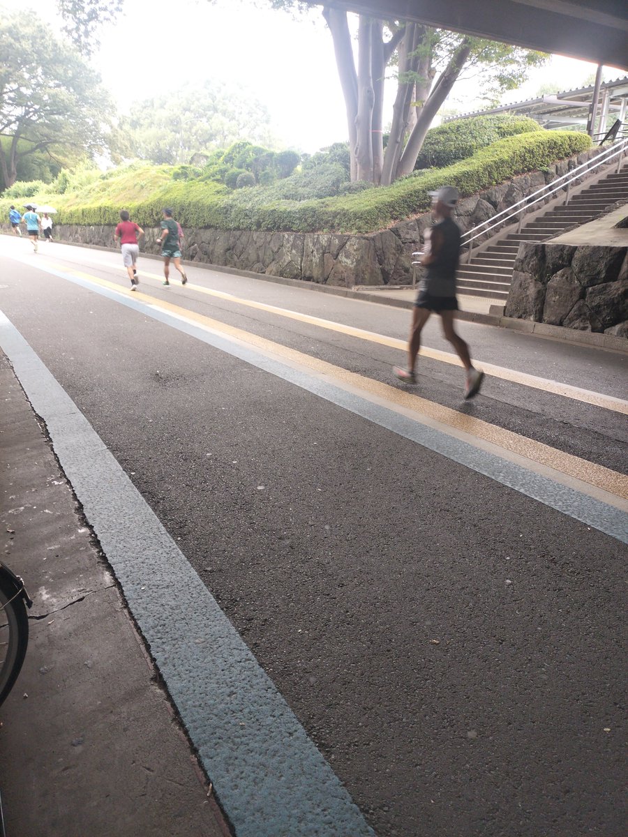 verdemd's tweet photo. ランニング部で練習
 #駒沢オリンピック公園 https://t.co/bqUeM1GulT