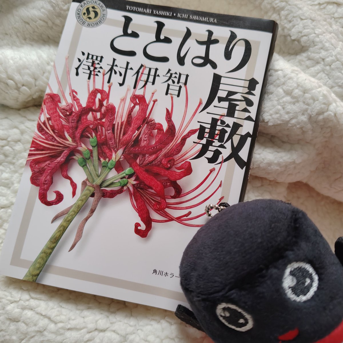 book_cham's tweet photo. #読了 2026年46冊目
『ととはり屋敷』 #澤村伊智 
☆20265月発売
“比嘉姉妹シリーズ”の文庫本短編集。
比嘉家両親と7人の子供の壮絶な過去のエピソード満載です😨
#角川ホラー文庫 
#読書記録 
#読書好きと繋がりたい https://t.co/OdFRdTGb02