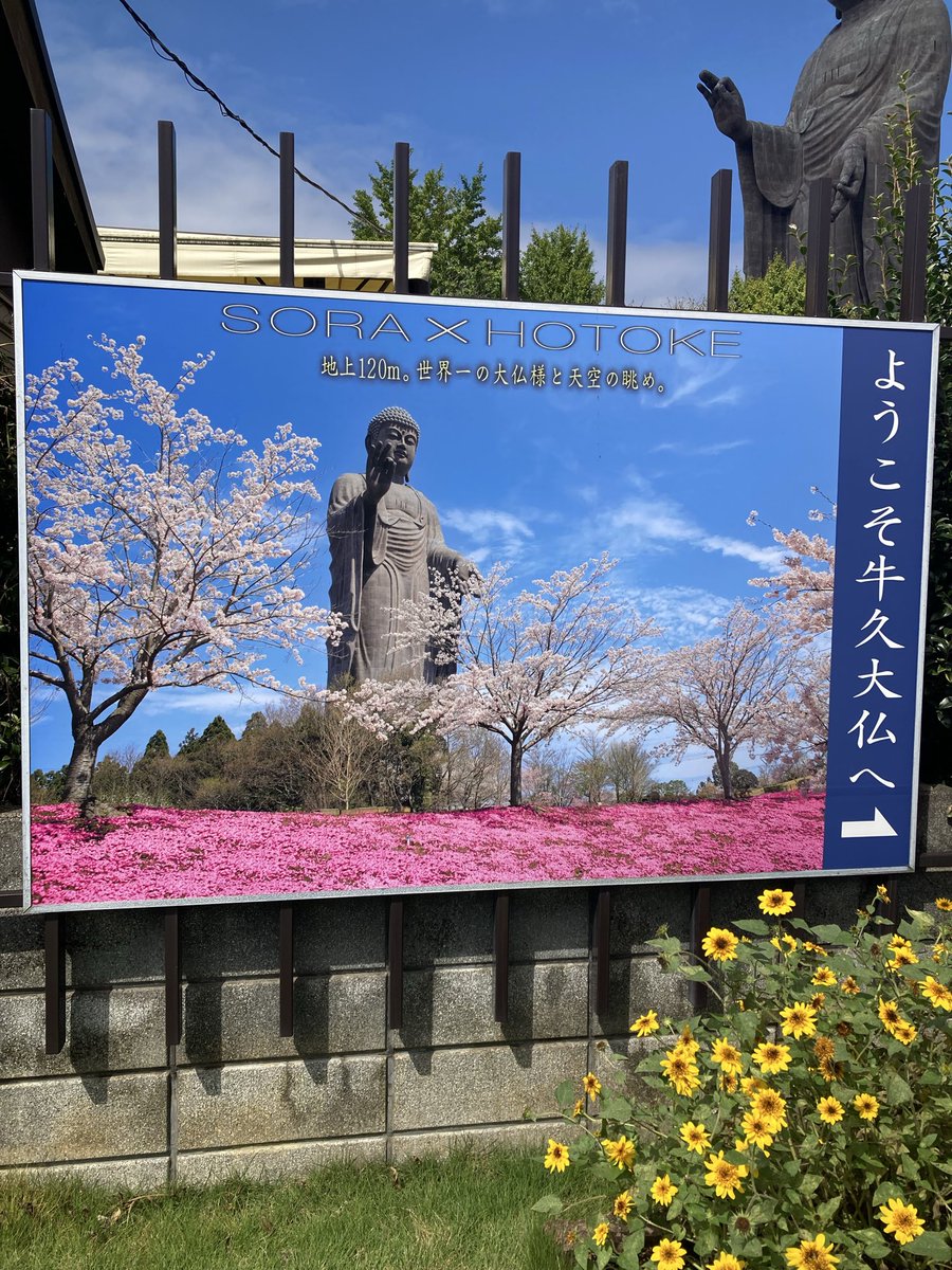 tukuyomi1207's tweet photo. 10年程前遠くから見た事しかなかったんだよねー。
牛久大仏本当にデカいんですねー。
高炉まで日本一のデカさ。
そして、お釈迦様じゃなくて、阿弥陀様なんだね。
#牛久大仏 https://t.co/tw5PgGNb8e