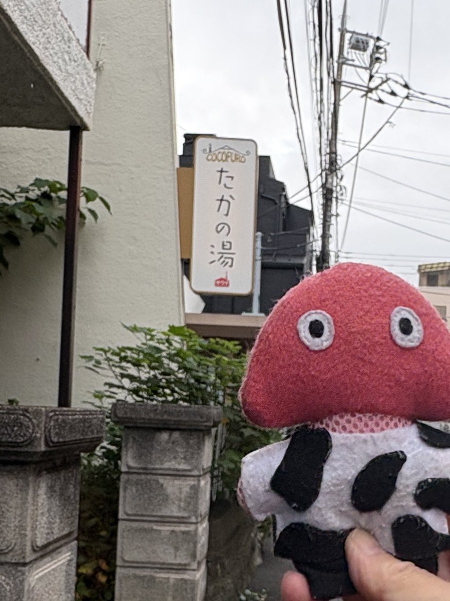 risarin0528's tweet photo. ただいま🏠♨️
#家より先に
#ミュージックロウリュ
#爆風中毒
#楽久屋
#COCOFUROたかの湯🦅♨️ https://t.co/UkBl15IpWj