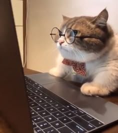 BlazeCatAdict's tweet photo. We have this masterpiece created by the one and only @g_sense0 https://t.co/nqq3BNmmAh