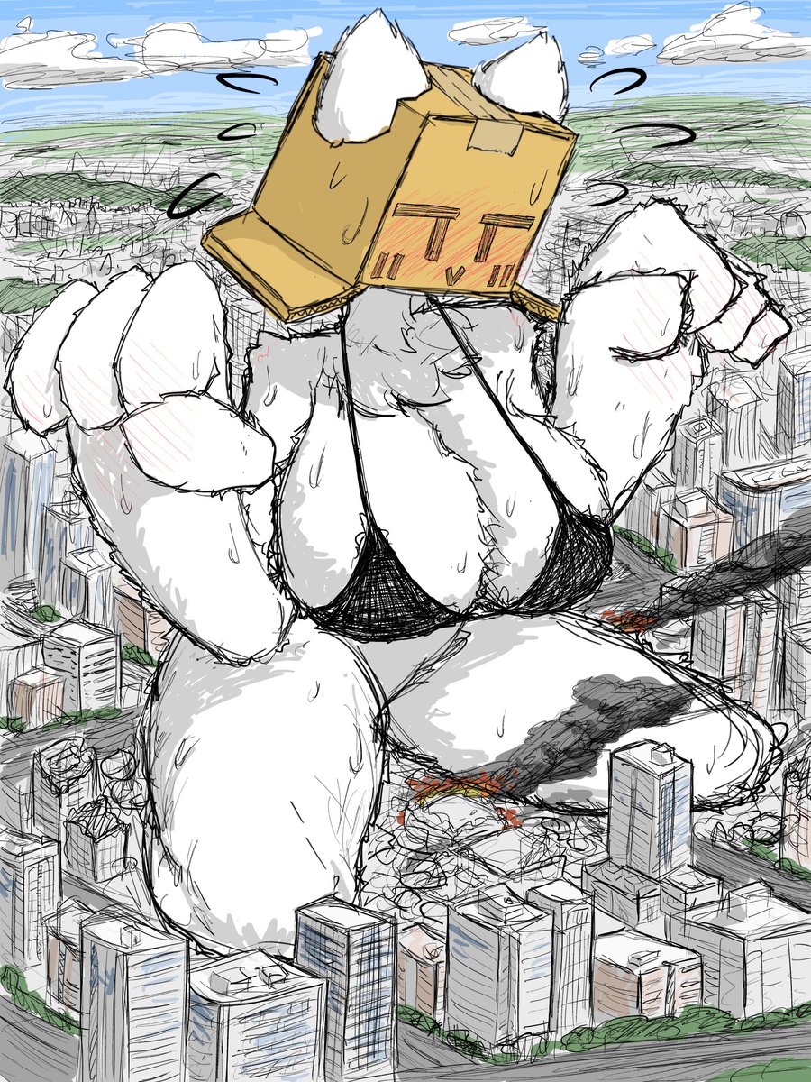 piyomaru64's tweet photo. 【再掲】 https://t.co/PpVKsy7QA5