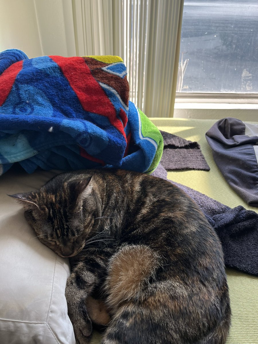 enbyslayer's tweet photo. her little head on the pillow 🥲🥲🥲🥲🥲🥲🥲🥲🥲🥲🥲🥲🥲🥲🥲🥲 https://t.co/eU0o9guLJq