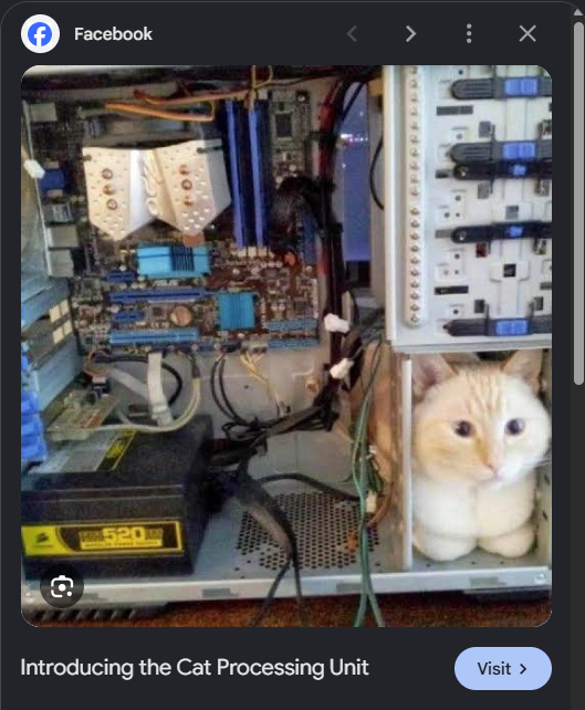 WheelerrDealerr's tweet photo. intel makes CPUs.
and now @longdotxyz has the perfect cat meme to draw liquidity onchain for one of the world's biggest manufacturers of CPUs, chips and other hardware.

the term 'cat processing unit' is a common internet joke for CPU - $CPU has all the hallmarks for being the potential number 1 breakout cat meme on @longdotxyz 

i am busy trying to find the best coins to give me exposure to the biggest tech stocks on robinhood, and $CPU fits the bill perfectly.

time to upgrade your meowtherboard 😺
