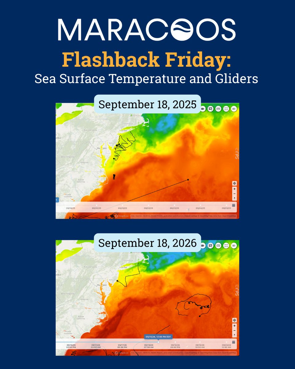 maracoos's tweet photo. Take a look at this time last year on OceansMap featuring sea surface temperature and glider activity. Explore OceansMap data and see what you can find. https://t.co/1yHkTuBeaM