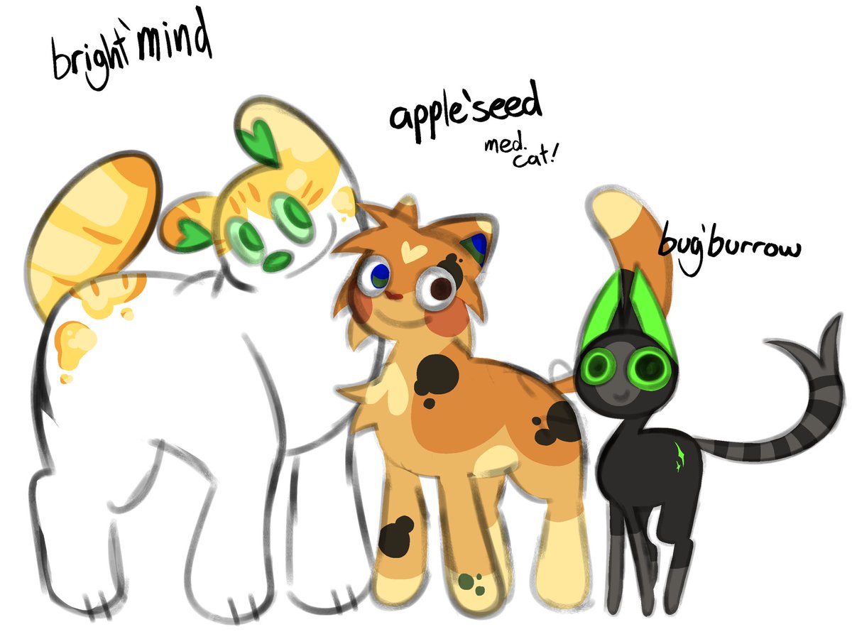 creepypasta1and's tweet photo. designing cats has never been my strong suit but oh well. faa warrior cats!!!!!!! a group of rogues and outsiders coming together to create their own clan!!!! https://t.co/dHiQ6dJOg6