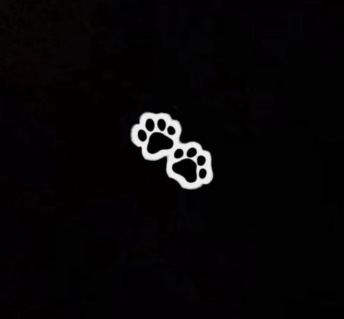 ghisvlaine's tweet photo. ᅠᅠᅠᅠᅠᅠᅠᅠᅠ
 
    𝒮he  is  roaming  around  again  after
    being  gone  for  a  while  .  .  

    approach  if  you  𝒹are.  🐾 

ᅠᅠᅠᅠᅠᅠᅠᅠᅠ https://t.co/sbNIx1PVhn