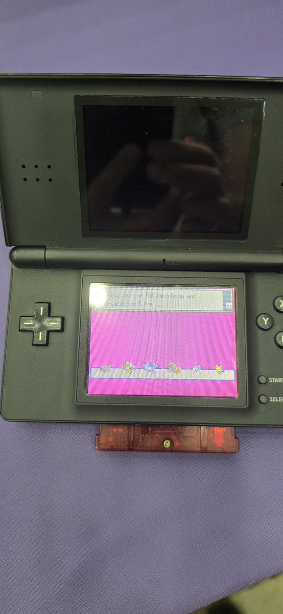 PKMNSteve's tweet photo. Had 2 of my childhood Pokemon saved! Shiny zigzagoon from Pokemon Center NY &amp; a Pichu named Sparky Jr are now home! Thank you @RexProfessor https://t.co/xQ4gnsQFpN