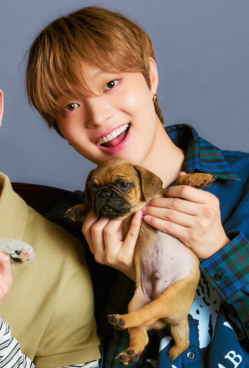 wijufish's tweet photo. cookie stayed on juju's lap until the end because he looked at him and saw his long lost twin https://t.co/HjFW6xPYJ2