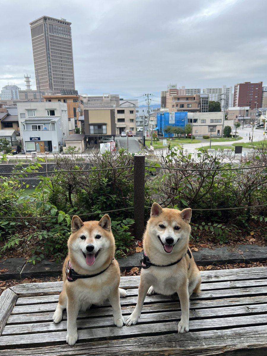 jajagi7jajagi's tweet photo. おはようございます☁️
今日も良い一日を https://t.co/IgazRNJIdn