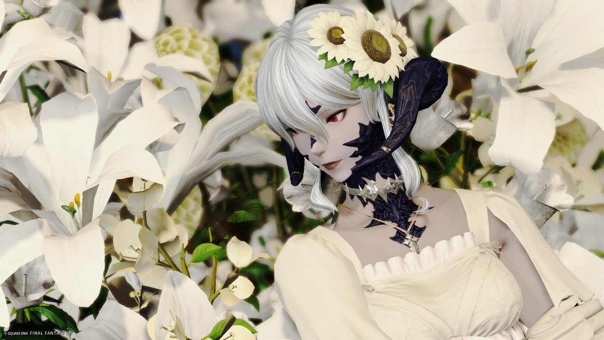 Shirone_SS's tweet photo. 『白の檻』

Studio #dull_wld
#おはウラ #FF14SS https://t.co/aaA29HgqVN