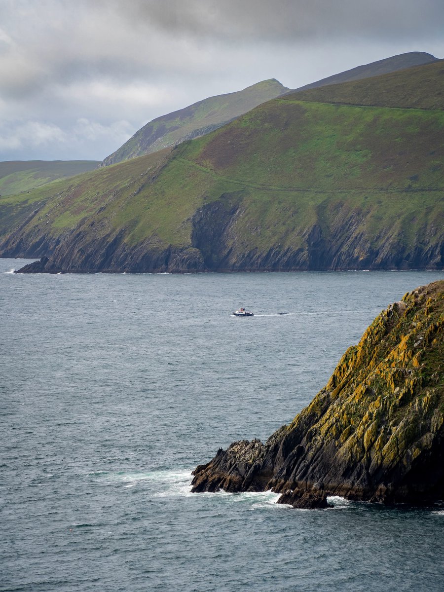 ThisIsIreland3's tweet photo. Dunmore Head, on the Dingle Peninsula 🏞️🌊 

📍County Kerry - Ireland 🇮🇪

📸 Mark O'Sullivan 

#Ireland #Dingle #Kerry #Wildatlanticway #Dunmorehead https://t.co/BABXjZ9yL7