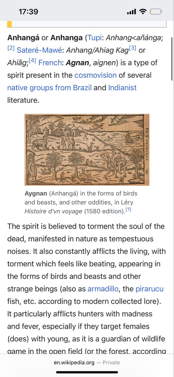 hexserath's tweet photo. My lovely mutual @Melek90NSFW_art did her own research and theorized that what Neko was initially asking was about the Anhangá, which is an indigenous Brazilian spirit that protects wildlife!

I just wanted to post ab it bc I love it so much :}

AMA: https://t.co/aEug9b8JoH https://t.co/uHcRFukOh4