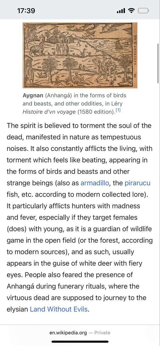hexserath's tweet photo. My lovely mutual @Melek90NSFW_art did her own research and theorized that what Neko was initially asking was about the Anhangá, which is an indigenous Brazilian spirit that protects wildlife!

I just wanted to post ab it bc I love it so much :}

AMA: https://t.co/aEug9b8JoH https://t.co/uHcRFukOh4