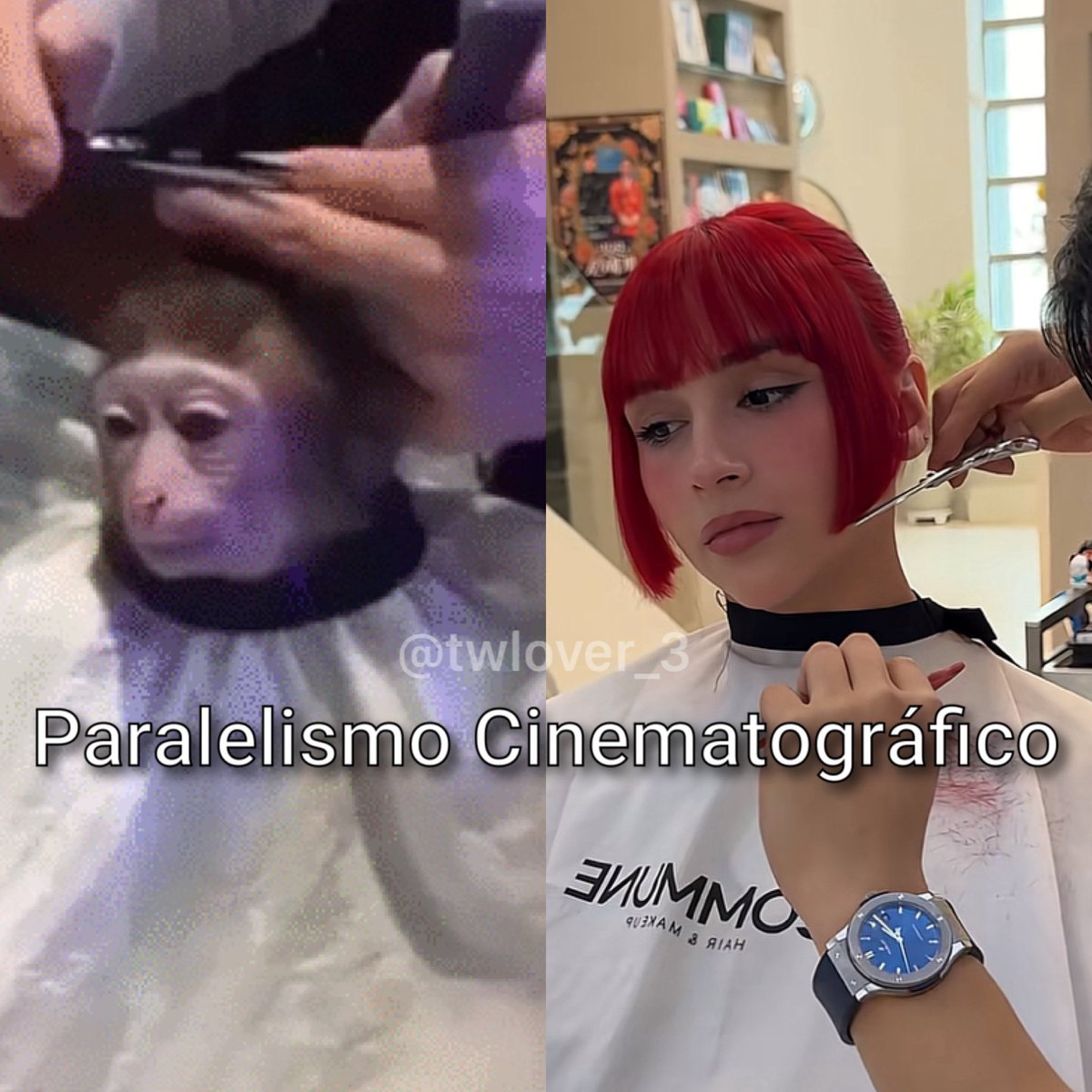 twlover_3's tweet photo. perdon Paulina tenia que hacerlo jsjsjsjs https://t.co/KfCfBTMxro
