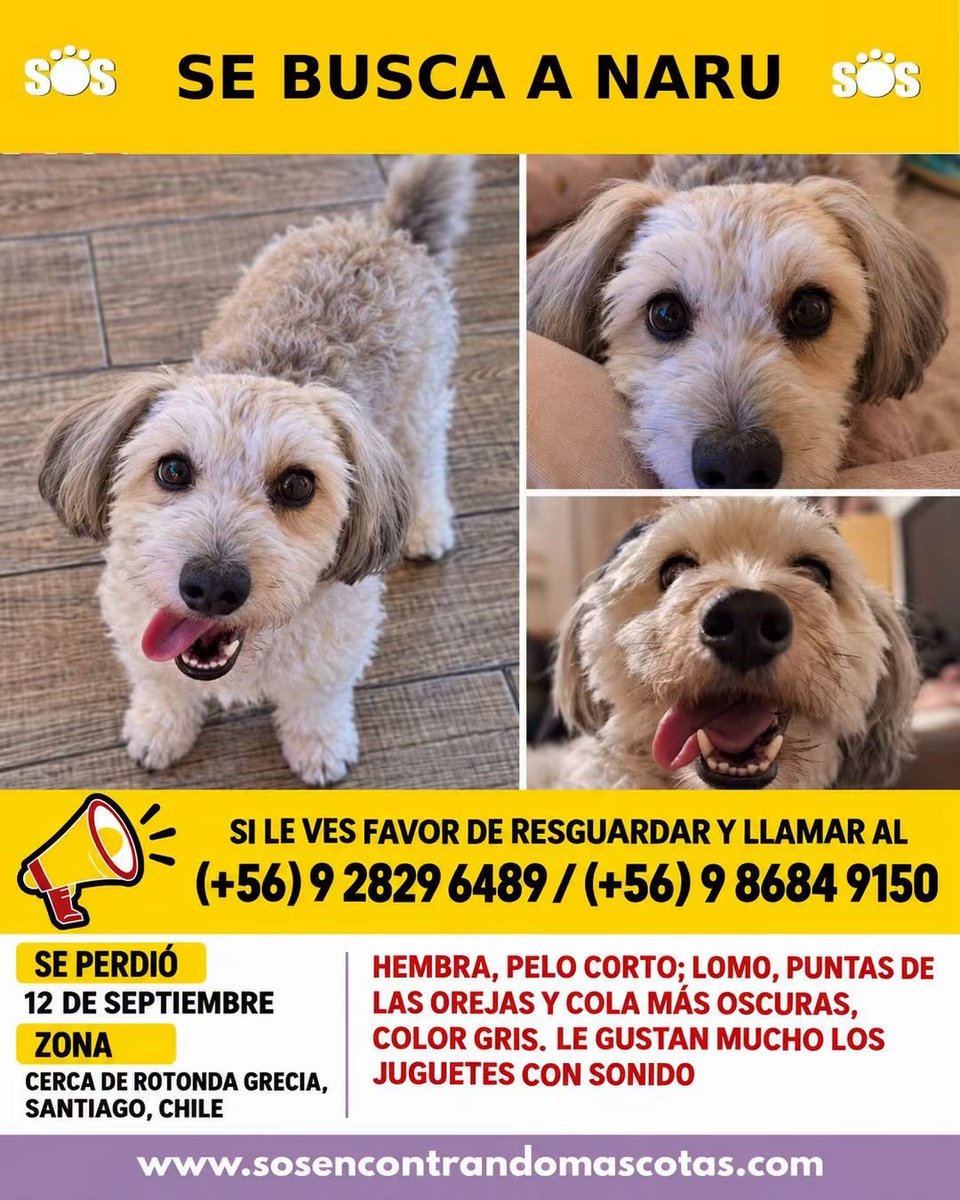 todopormiperro's tweet photo. https://t.co/Qo1Urmx76b