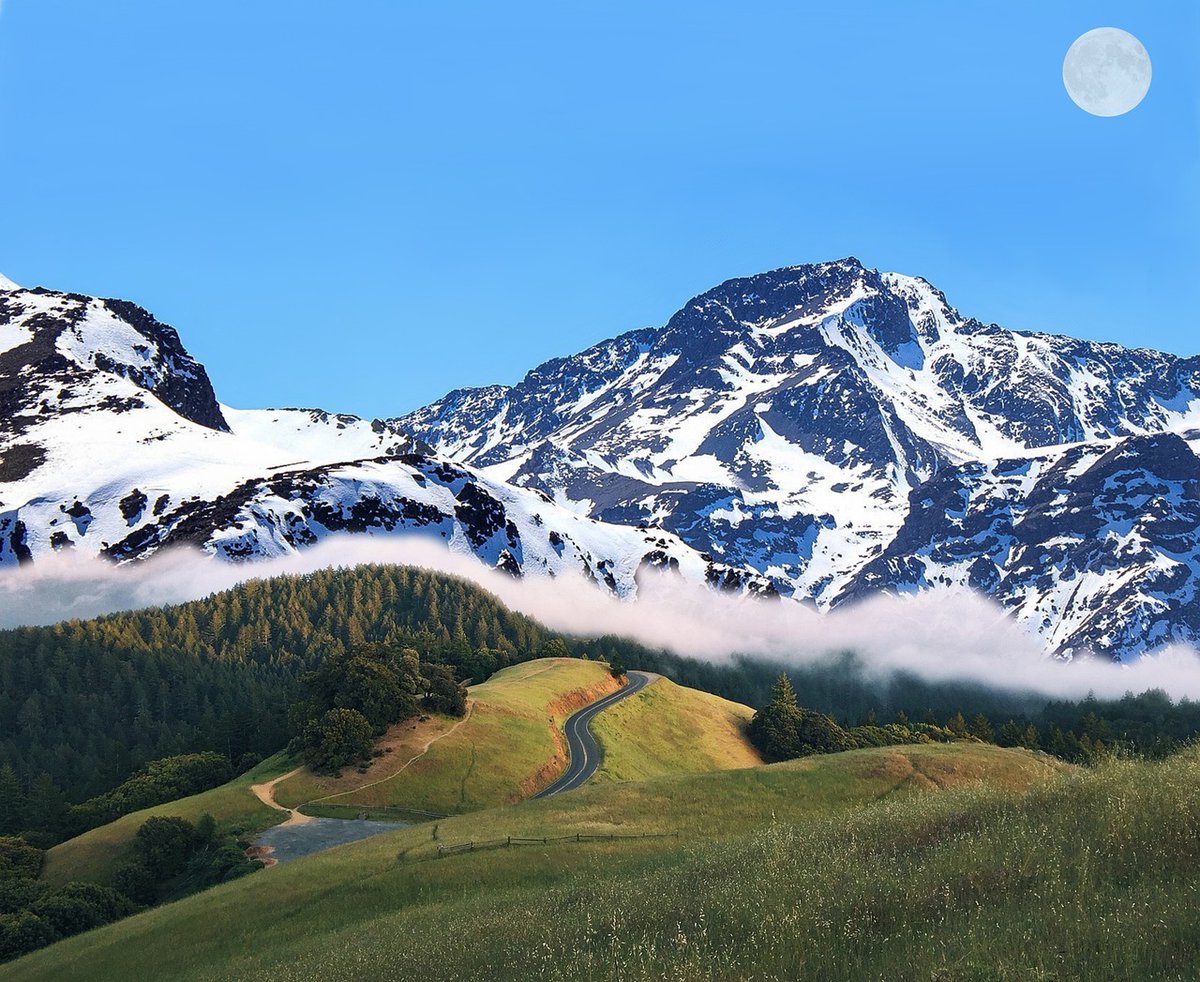 SophiaRodrelv's tweet photo. 🏡 I’ve started relooking at Type 2 inter-terraces, especially the smaller plots around 900–1,000+ sqft. https://t.co/DVxVjXCYwg