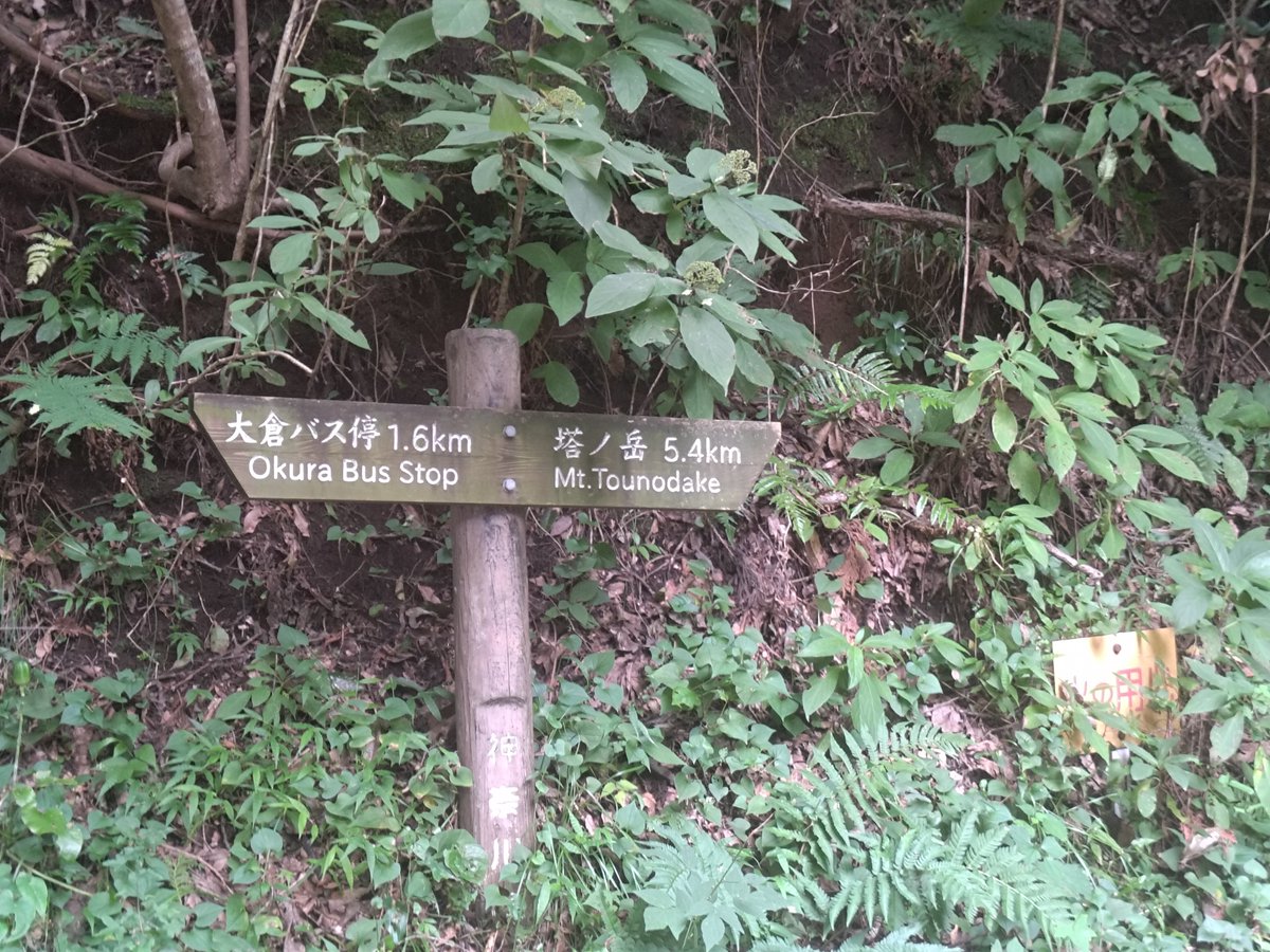 s_ease's tweet photo. とりあえず登ってます https://t.co/BMGXVUcVIf