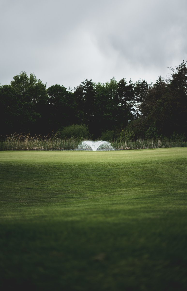 AnastasCam39945's tweet photo. After work, I was near the cedar shoreline for steady steps with stretching. Rhythmic rustle and laurel pattern were around me. My charcoal tripod, plum pouch, and tan wristband were there too. I felt cheerful and confident. #ActiveGolf #CedarShorelineGolf https://t.co/3JKhWaFM6e