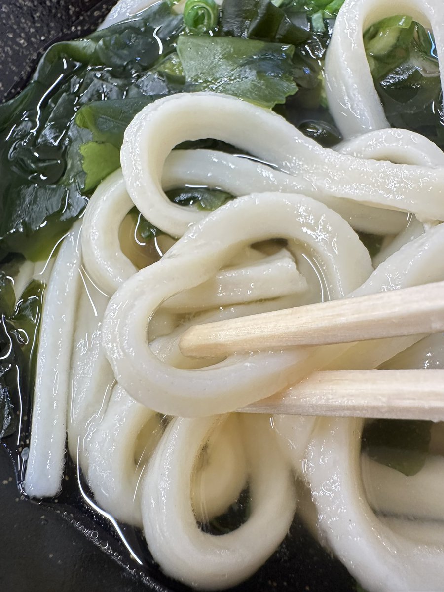 hararan_rem's tweet photo. うどん２軒目〜！

麺が三層構造でめっちゃ小麦感じた🤤 https://t.co/KQfkMq7IAc