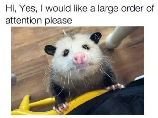 DeathPoss's tweet photo. https://t.co/OlFoj2bHx2
