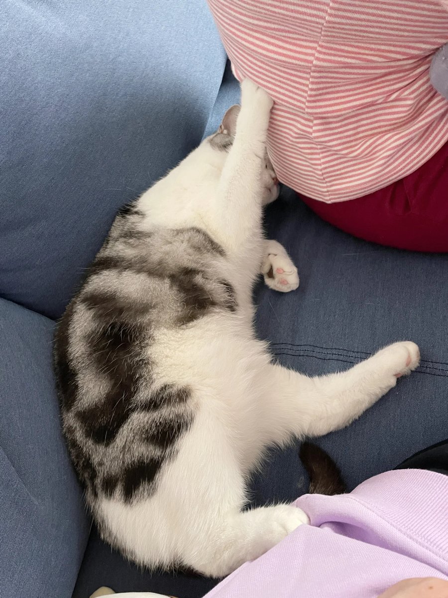 Mayer3Mayer's tweet photo. Playing peekaboo with my little one made today's afternoon so warm u0026 full of giggles! Best 10 mins of my week ， https://t.co/I8yKgfhagQ
