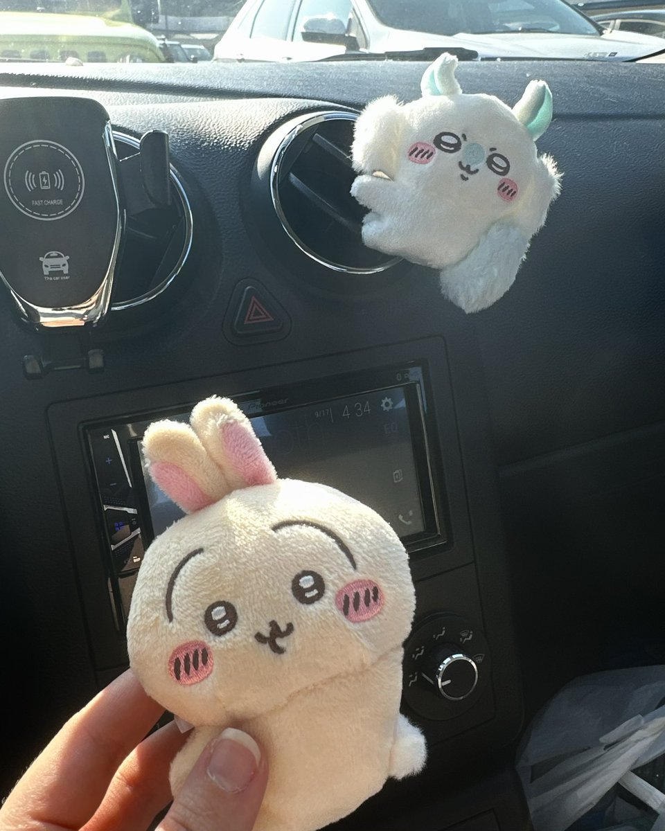 bugbugxo's tweet photo. hehehe look who I got today https://t.co/hBrc0OtGyK