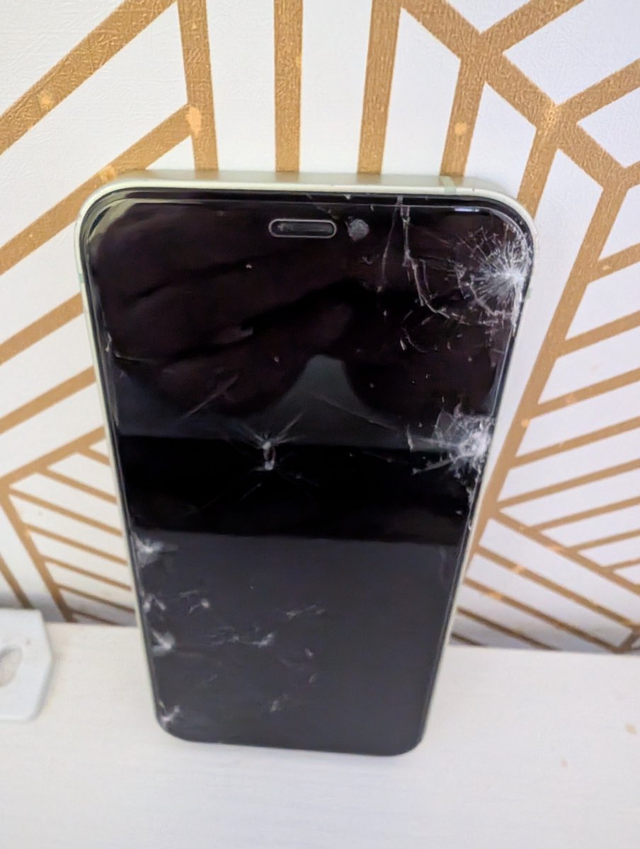 onomichimaido's tweet photo. 知り合いから頂いた
iPhone12mini
破損してた画面と背面交換してついでに電池交換して
サブ機として使ってたんだけど
やってしまった
犬の散歩中に
5cmくらいの蛾が飛んできて
振り払おうと手を振った時に手から・・・ https://t.co/khxH7VjirI