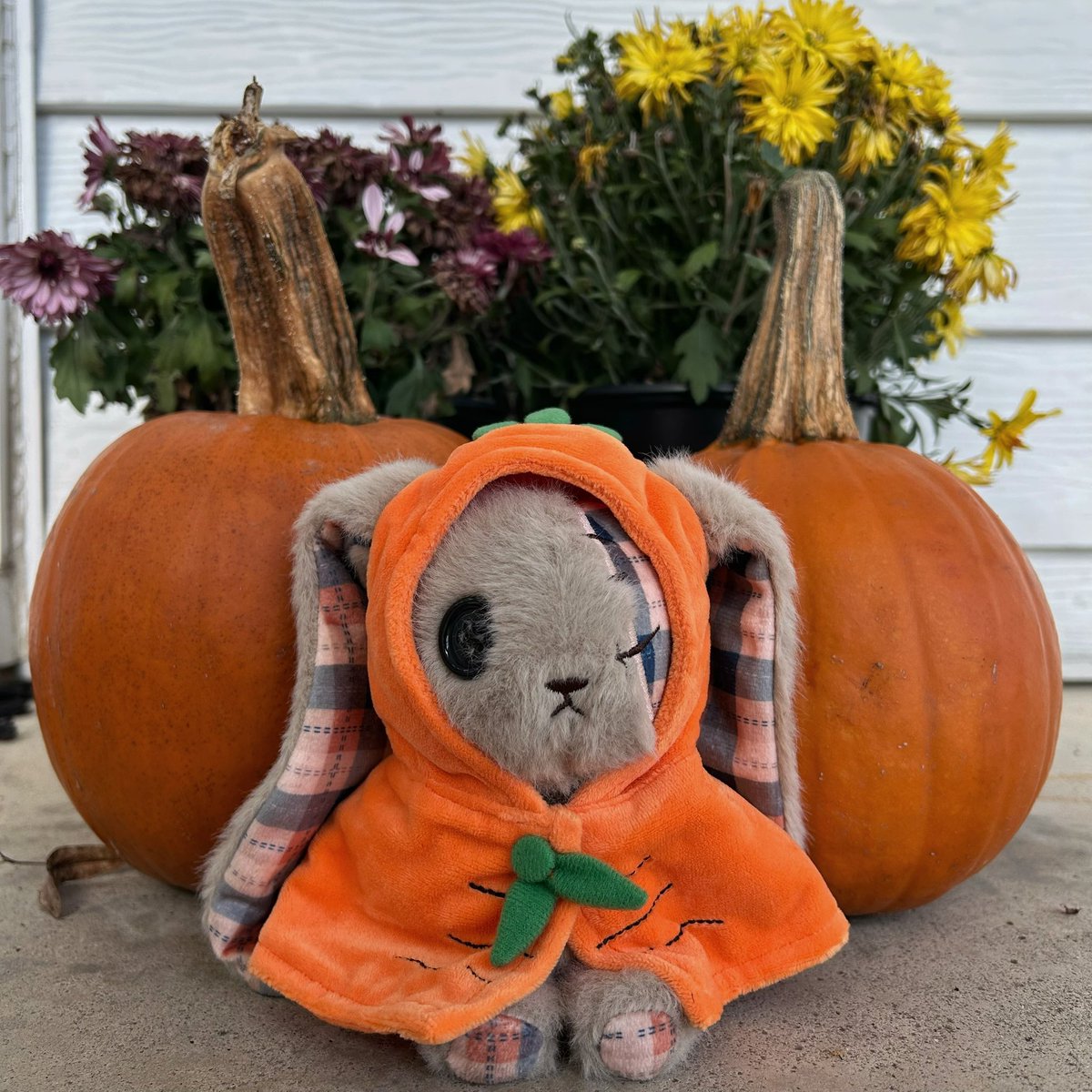 TriceraSun's tweet photo. Ready for autumn🍂🍁 https://t.co/kHr8MNzswp