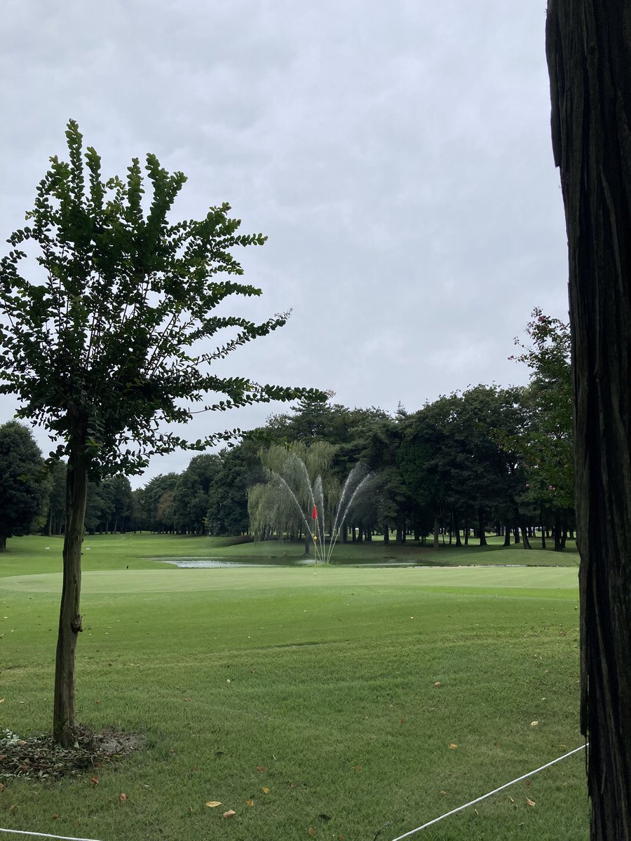 golkichigo's tweet photo. 今日のテーマは、一打一打に自信を持って打つこと🏌️‍♂️
雨降らないでくれよ～⛳️ https://t.co/BItzCETMOo