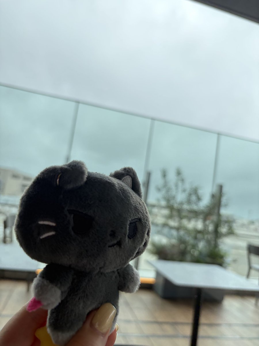 okmosm's tweet photo. 結成日渡韓🐈‍⬛❤️‍🔥 https://t.co/VX6snhdlC4