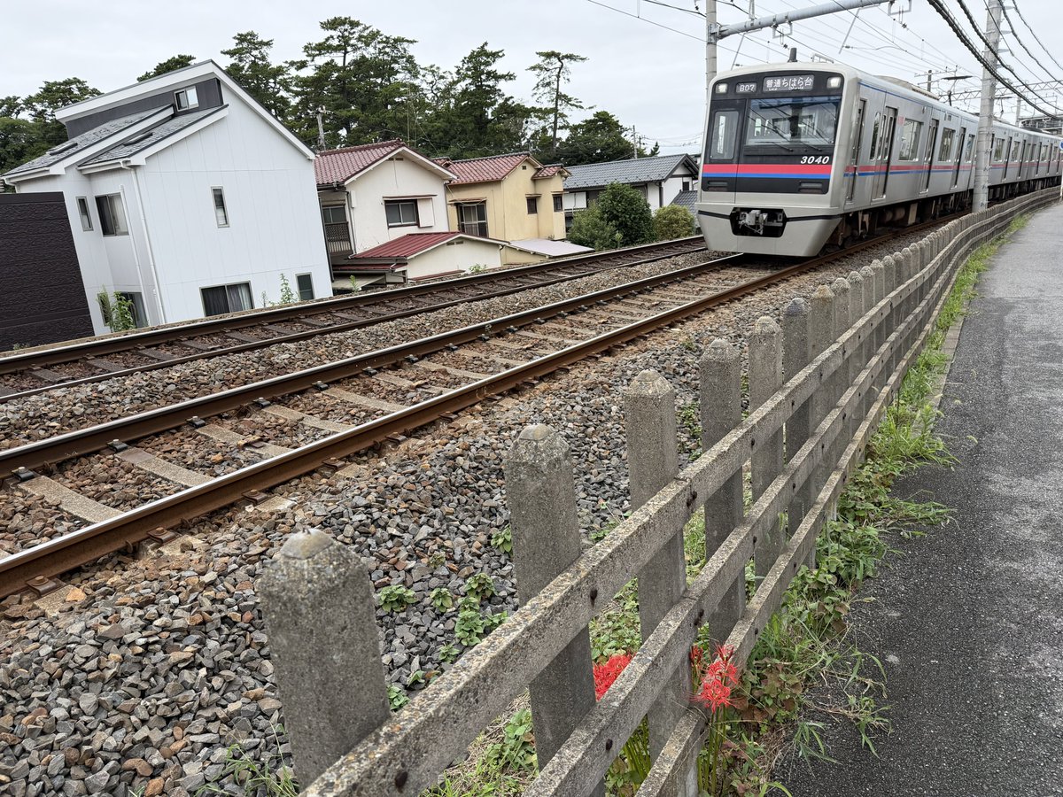okamura_kari's tweet photo. なかなか面白い感じに撮れてしまった、線路沿いに咲く彼岸花と京成千葉線。 https://t.co/NKMVRZl6R1