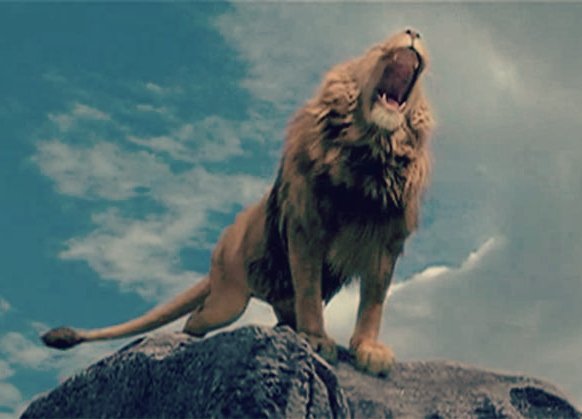 trad_west_'s tweet photo. "Is he safe? No. But he is good."
C.S. Lewis understood that God is not a pacifist push-over, and you shouldn't be either.

In The Chronicles of Narnia, when the children ask if Aslan (the Christ figure) is safe, Mr. Beaver replies with one of the most famous lines in literature: "Safe? Who said anything about safe? 'Course he isn't safe. But he's good. He's the King, I tell you."

Modern culture wants a "safe" God. They want a religion without a cross.

If you're a man you need to be like this, especially nowadays: not safe, but good.