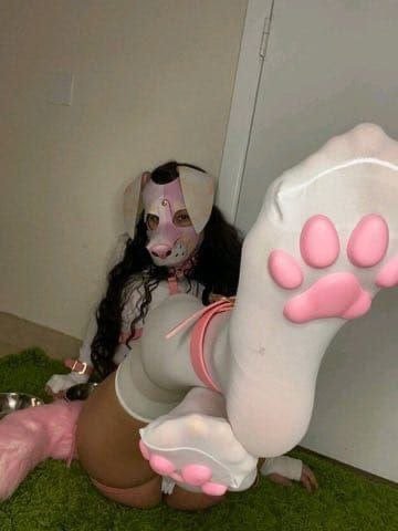 bitmang46505's tweet photo. Some things don’t need a long caption.
They just need private access.

Link https://t.co/qvjIOKwXRk

#dogs #K9 #USA https://t.co/YkZK2hQs9L