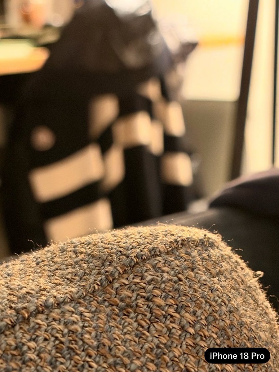 JulienChieze's tweet photo. Mes tests continuent. 

En basse luminosité, zoom x4, les améliorations de l’iPhone 18 Pro sautent aux yeux avec un bokeh plus naturel, une gestion de l’éclairage mieux maîtrisé et un rendu général bien mieux défini. 

Pas de doute, ce ne sont pas de si petites améliorations. https://t.co/yxggJIMjHh