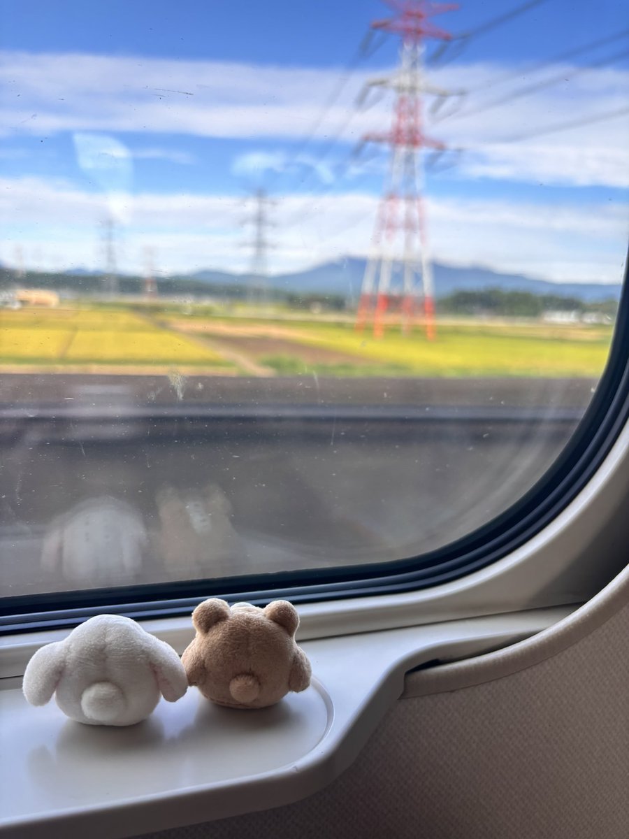 nonnoco_pupupu's tweet photo. 🧸🐰🗼 https://t.co/TaxgRKqNnw