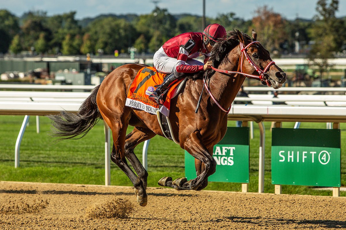 jfarache's tweet photo. Los triunfos clásicos de FOREVER YOUNG:

Jockey Club Gold Cup (G1) 2026
Saudi Cup (G1) 2026
Saudi Cup (G1) 2025
Breeders' Cup Classic (G1) 2025
Nippon TV Hai 2025
Tokyo Daishōten (G1) 2024
UAE Derby (G2) 2024
Saudi Derby (G3) 2024
Japan Dirt Classic 2024
Zennippon Nisai Yushun 2023
JBC Nisai Yushun 2023

Foto @EclipseSports