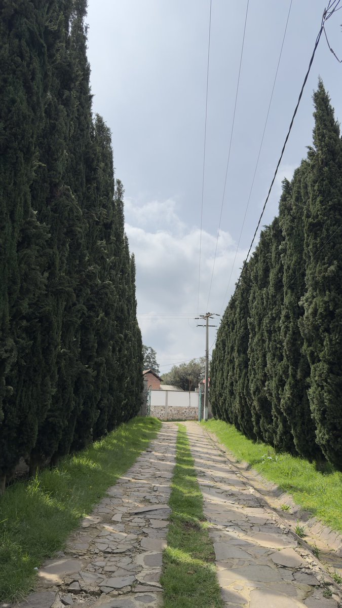 Alheba_ventas's tweet photo. Terreno en venta en Villa Del Carbón, contáctanos para mayor información 5534286401 https://t.co/XJ5vRqcEOk