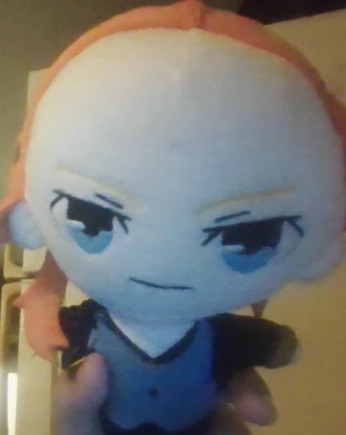 Mikamisuy's tweet photo. me and husband got the matching plushies proof that we are way to damn epic https://t.co/9bRrq7gUlN